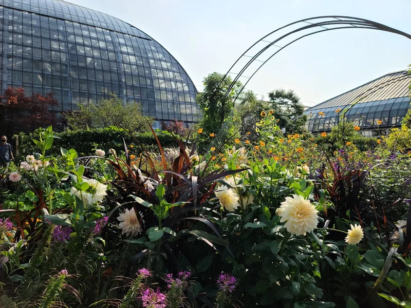 Garfield Park Conservatory — Experience in Humboldt Park