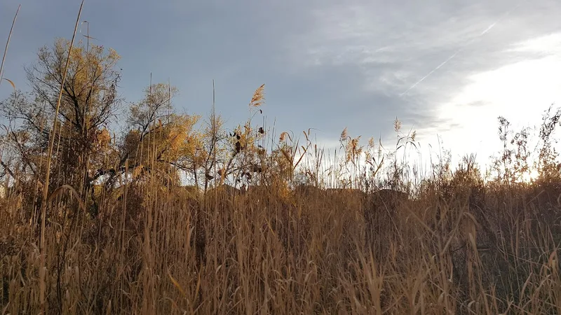 Cherry Creek Trail — Experience in Wash Park