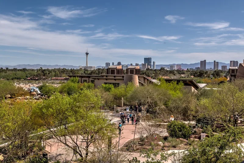 Springs Preserve — Experience in Westside