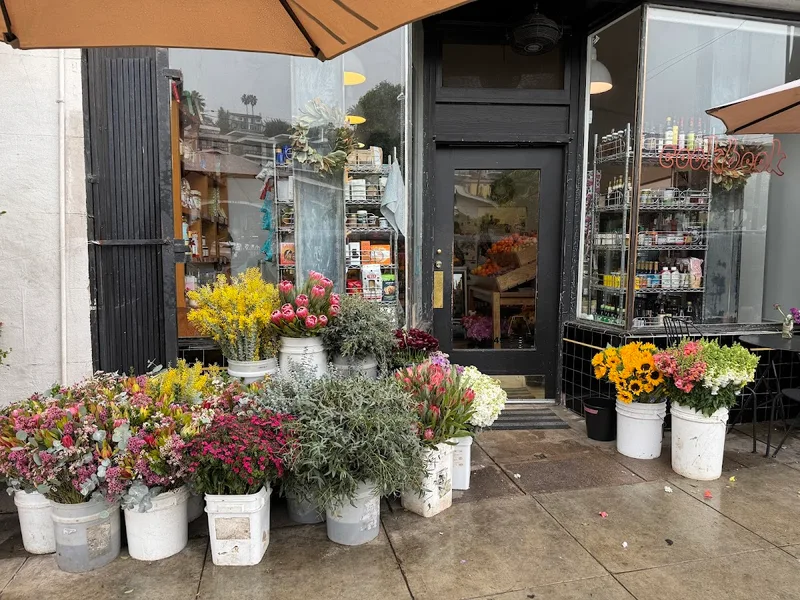 Cookbook — Drink in Highland Park