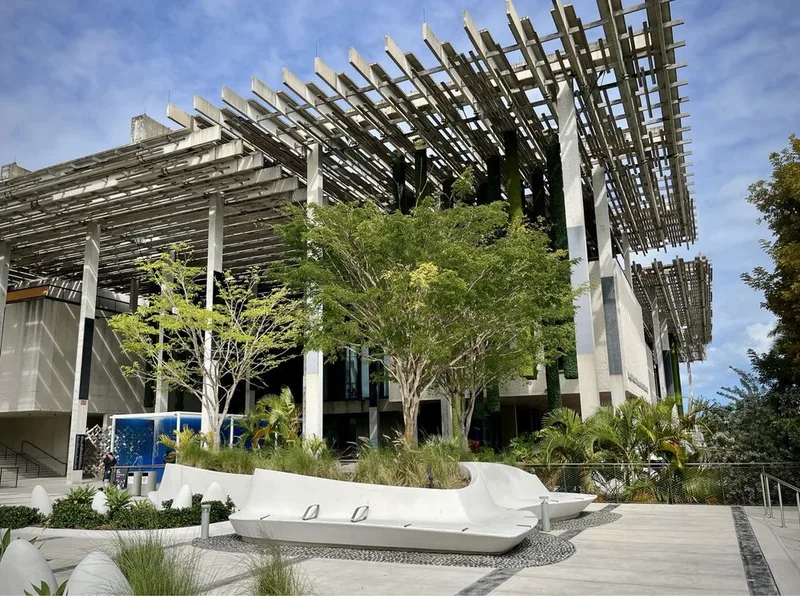 Perez Art Museum Miami (PAMM) — Experience in Downtown