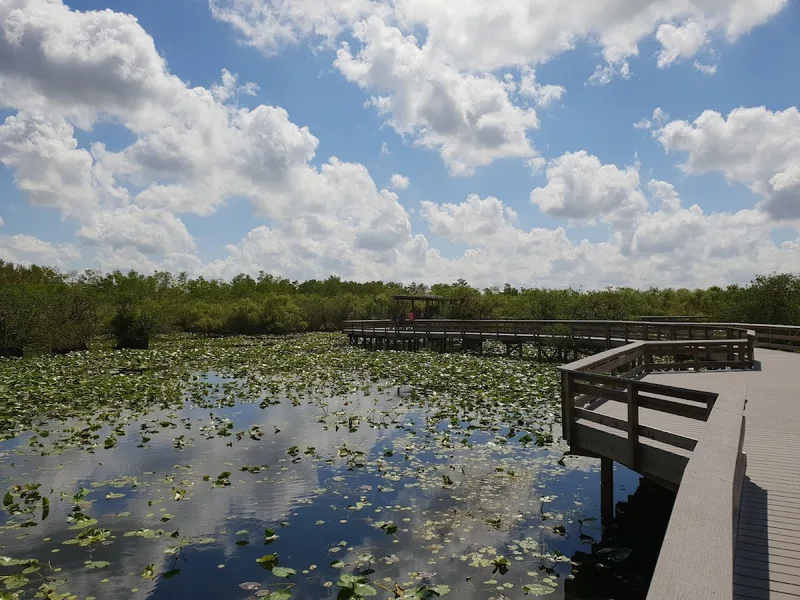 Everglades National Park — Experience in Coral Gables