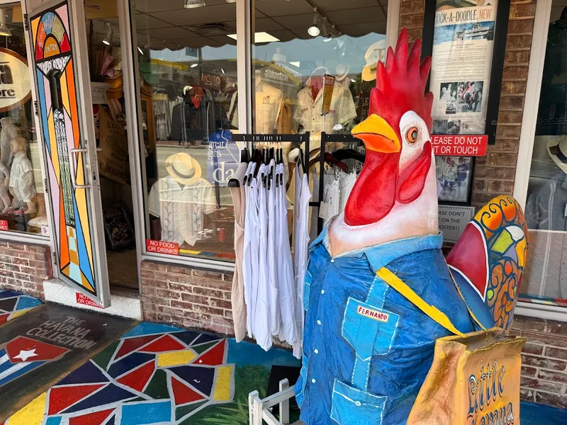 Havana Collection — Shop in Little Havana