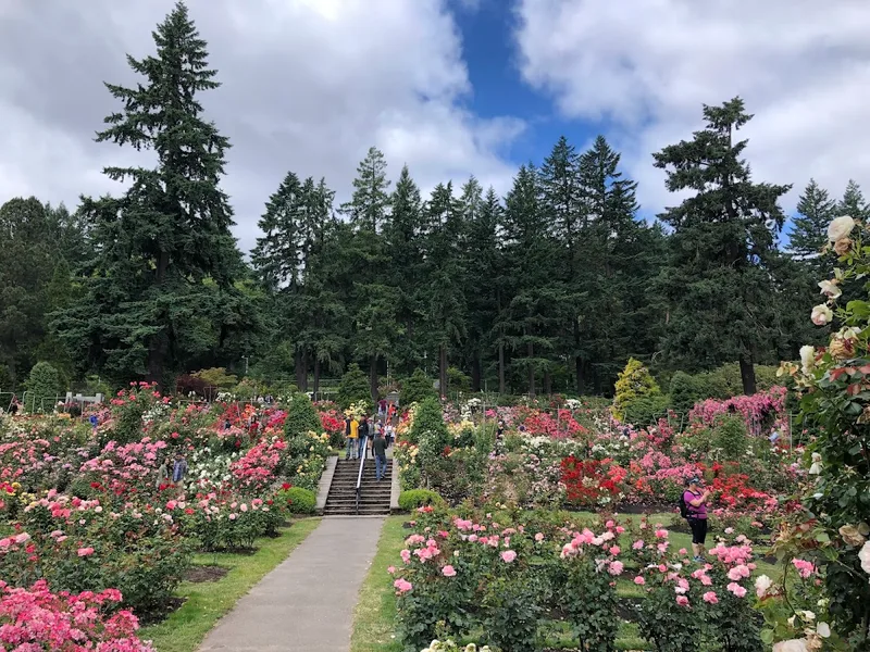 International Rose Test Garden — Experience in Northwest