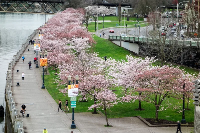 Tom McCall Waterfront Park — Experience in Pearl District