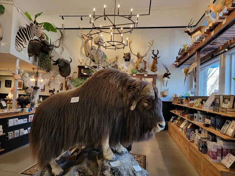 Paxton Gate — Shop in Mississippi