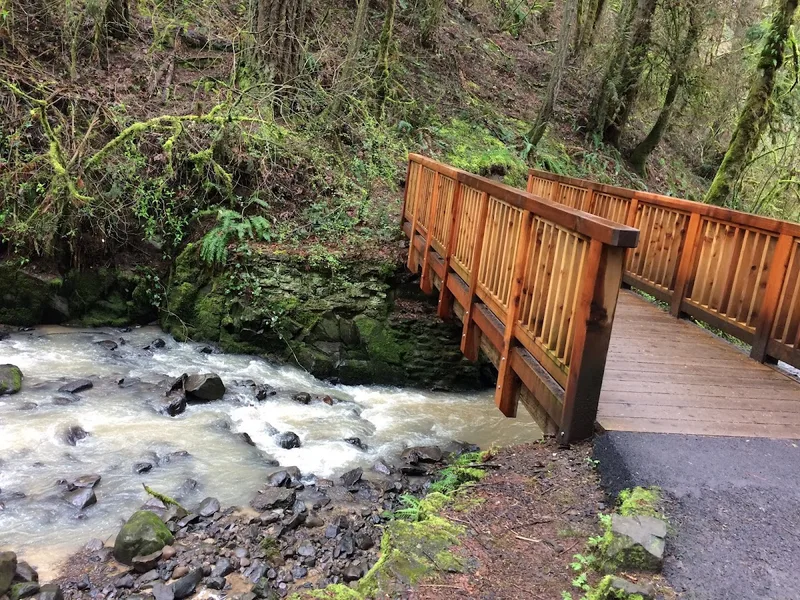 Forest Park — Experience in Northwest