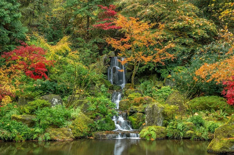 Portland Japanese Garden — Experience in Northwest