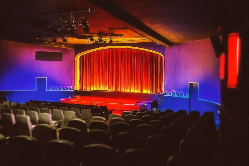 Clinton Street Theater — Experience in Division