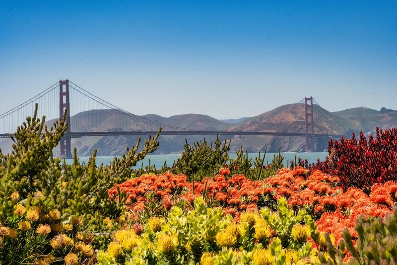 Presidio Tunnel Tops — Experience in Pacific Heights